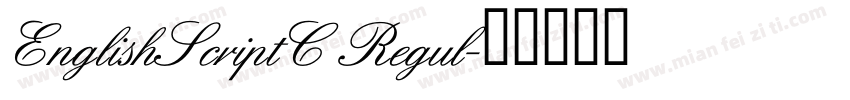 EnglishScriptC Regul字体转换